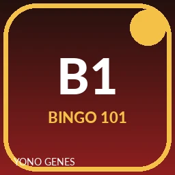 Bingo 101 icon