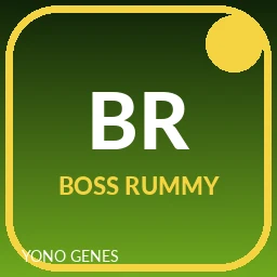 Boss Rummy icon