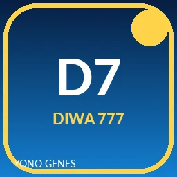 DIWA 777 icon