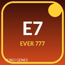Ever 777 icon