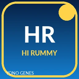 Hi Rummy icon