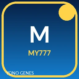My777 icon