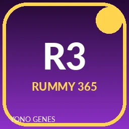 Rummy 365 icon