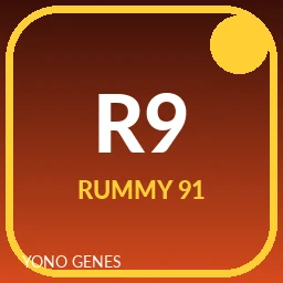 Rummy 91 icon
