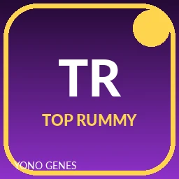 TOP Rummy icon