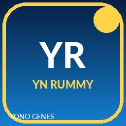 YN Rummy icon