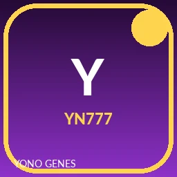 Yn777 icon